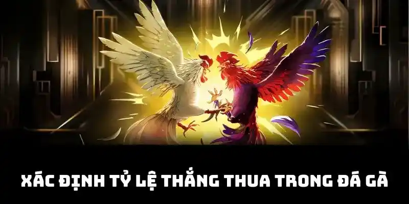 Xác định tỷ lệ thắng thua trong từng trận gà